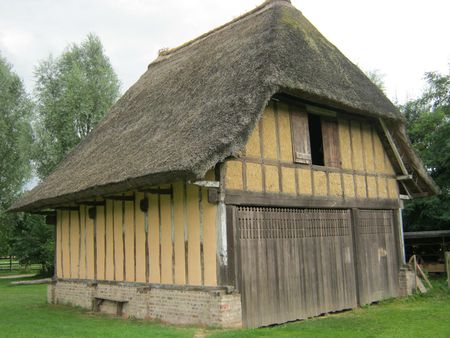 IMG_4711