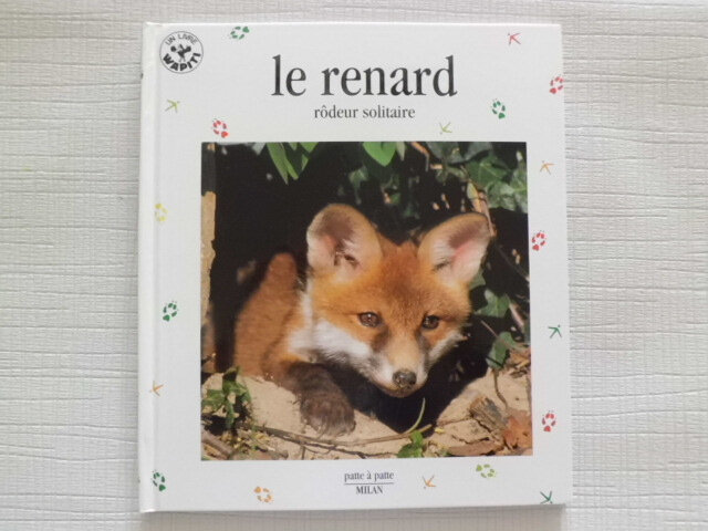 le-renard-rodeur-solitaire-patte-a-patte-milan