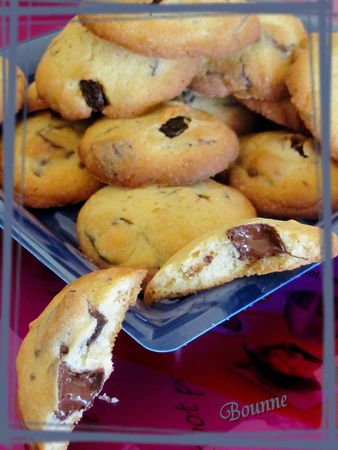 Cookies aux pépites de chocolat (2)