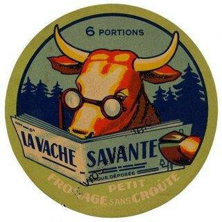 la vache savante