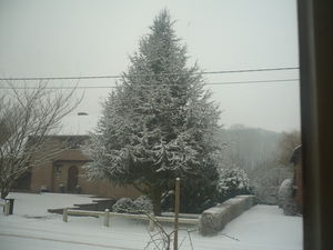hiver2009_016
