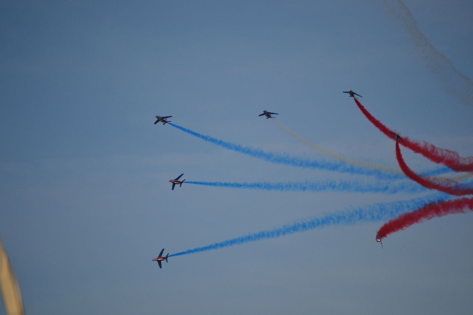 PAF-19