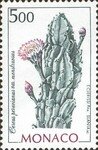 Cereus_peruvianus