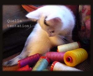 le_chat