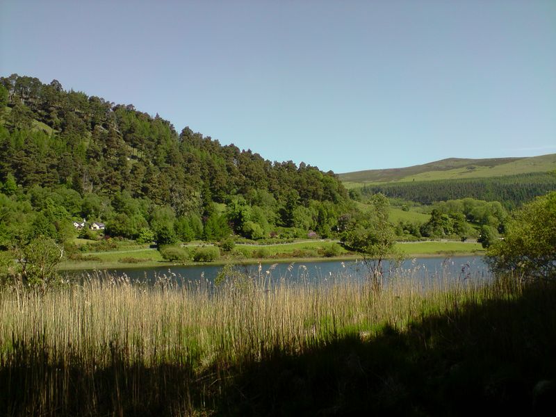 Lower Lake