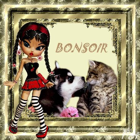 bonsoir_animaux