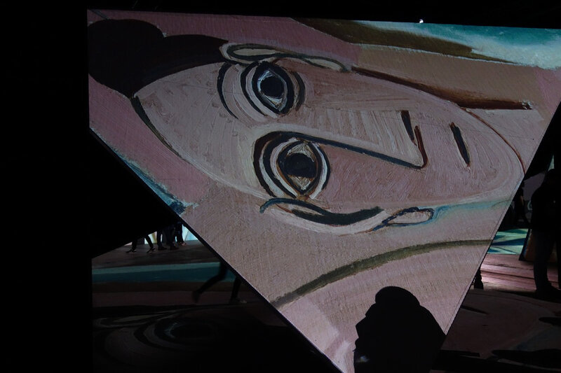 imaginepicasso9