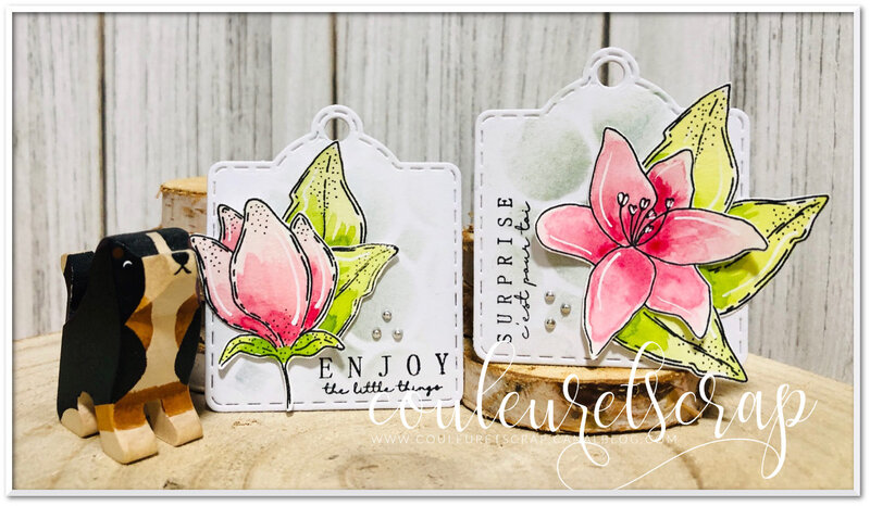 Couleuretscrap_lift_carte_anniversaire_étiquettes