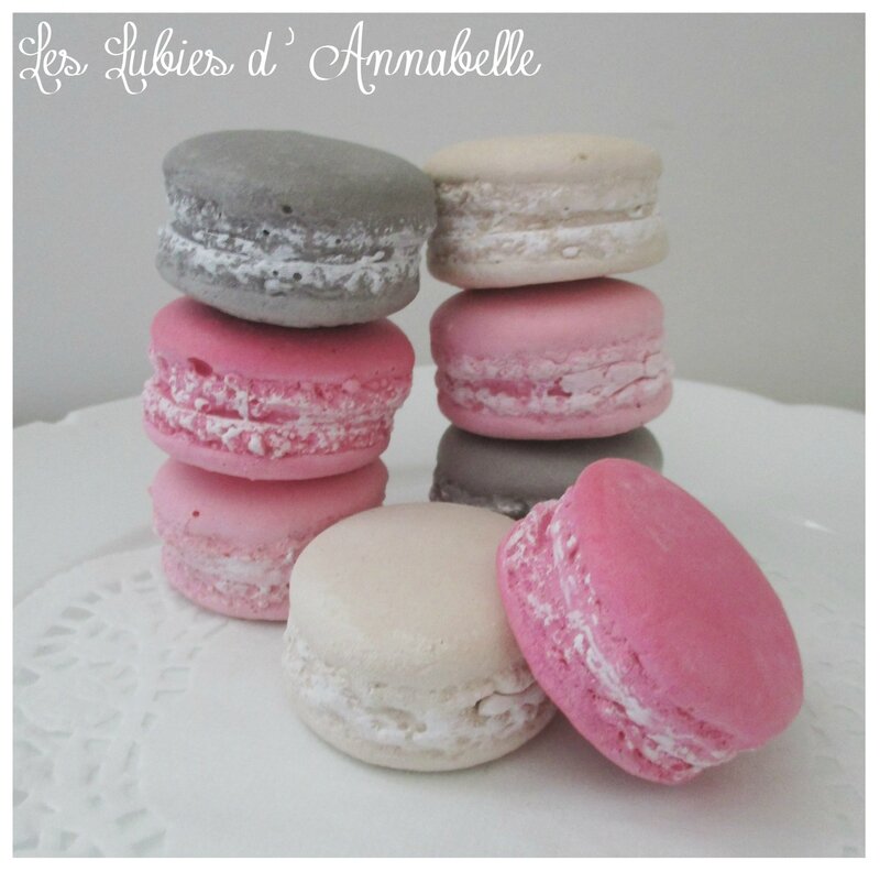 macarons lot de 8