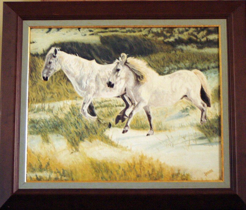 Les chevaux camarguais de P. Lucas