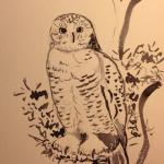 Hibou à l'encre noire