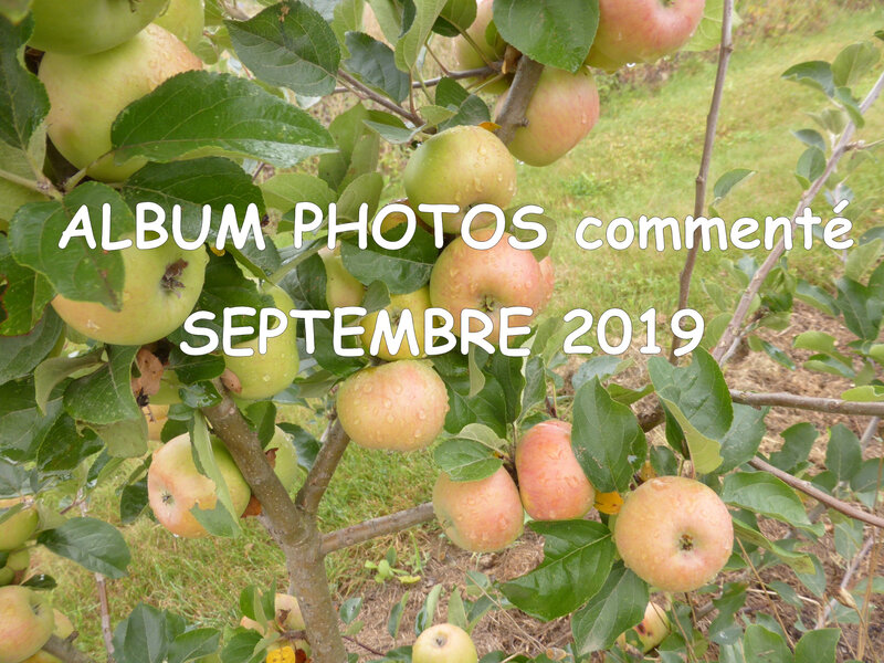 ALBUM SEPTEMBRE