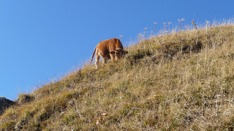 aiguilles d'Arves 012