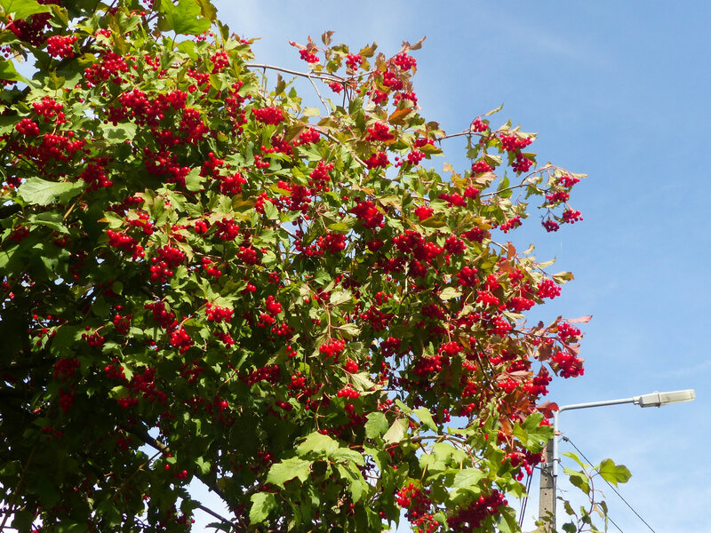 P1280543