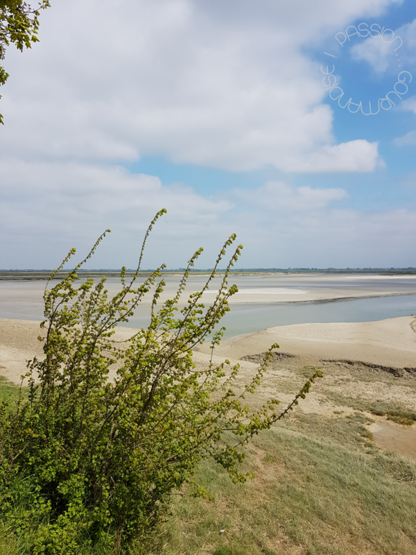 Baie de Somme, quai digue nord_3