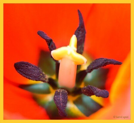IMG_1578copie2