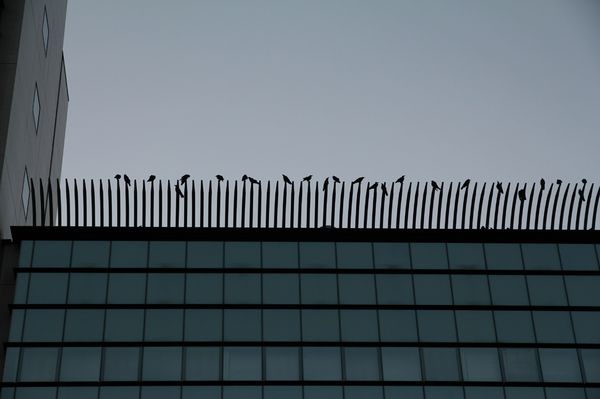 1 Eki-nox 2012 476
