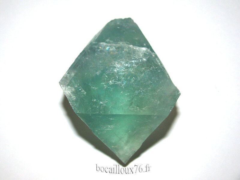 FLUORINE Bleue 6 Brut - 81