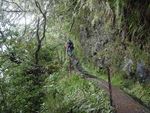 Levada_Ribeiro_frio