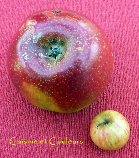 pommes