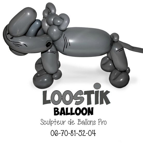 sculpteur-Ballons-Libourne-Langon-Bordeaux-Gironde-Aquitaine