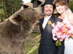 les_maries_et_le_grizzli_10334_w560