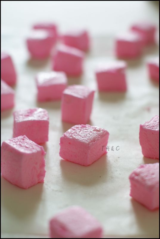 guimauvecube_copie