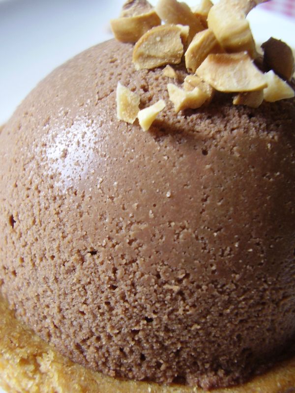 Dessert individuel au praliné, au chocolat noir et chocolat lait 005