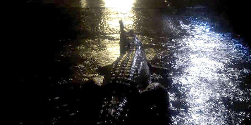 inondations en australie