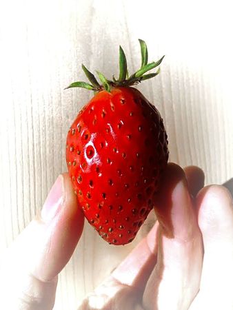 fraise1e_DT0001