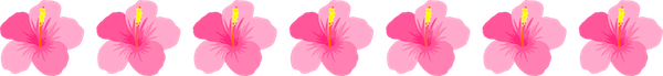 hibiscus-blossom-border-clipart