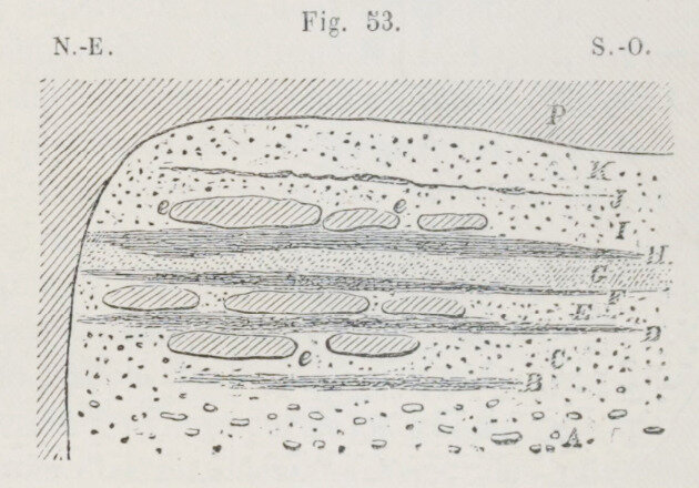 cromagnon fig 53