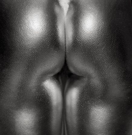 silvereye_series_by_guido_argentini_6_600x618
