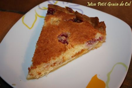 TarteAbricoCocoFramboise3