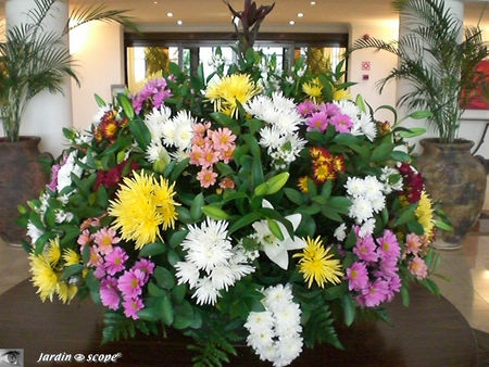8907_Bouquet_de_l_h_tel