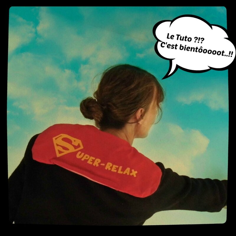 Super relax coussin riz Blog Nov 2013