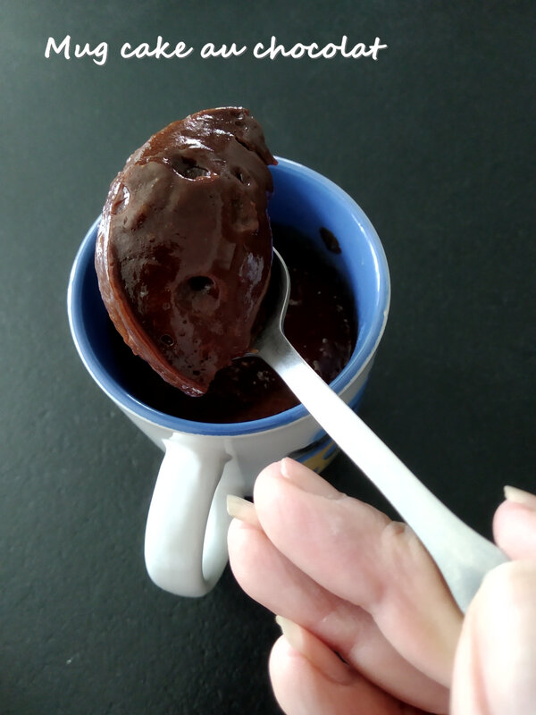 Mug cake au chocolat1