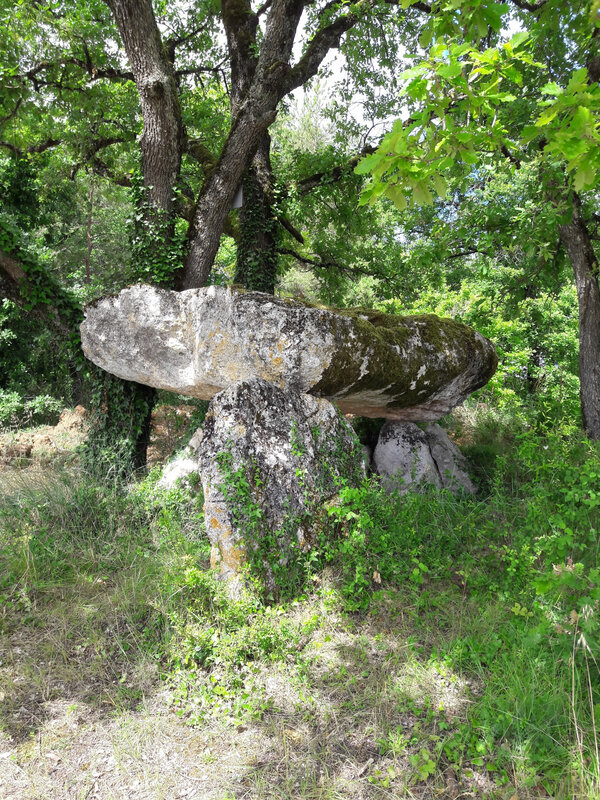 dolmen de St Paul Le Verdier