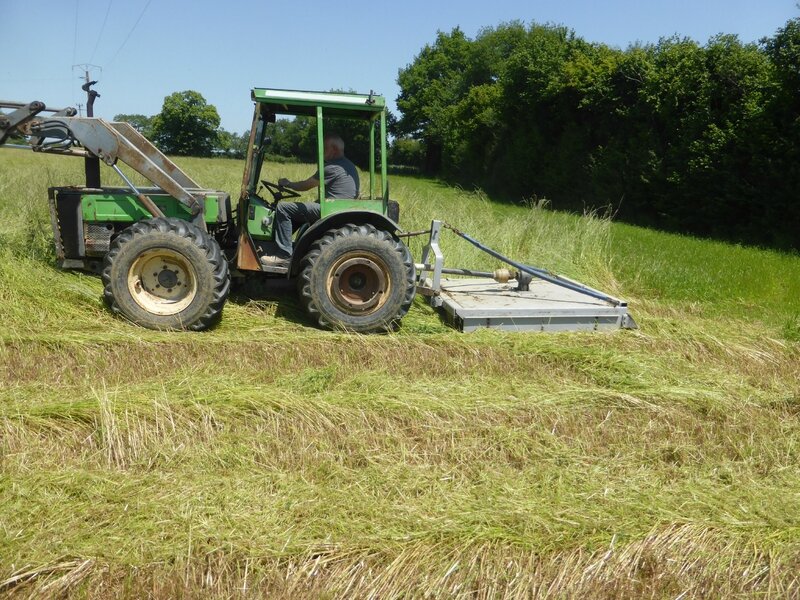 4-champ et tracteur (6)