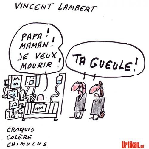 140625-vincent-lambert_chimulus
