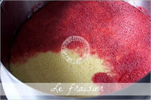 Fraisier0009