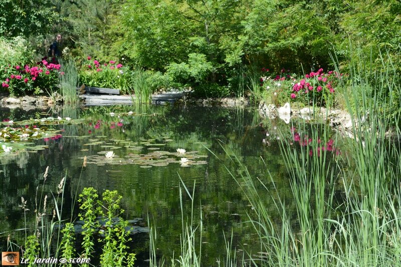 PAT_0177 Jardin chinois