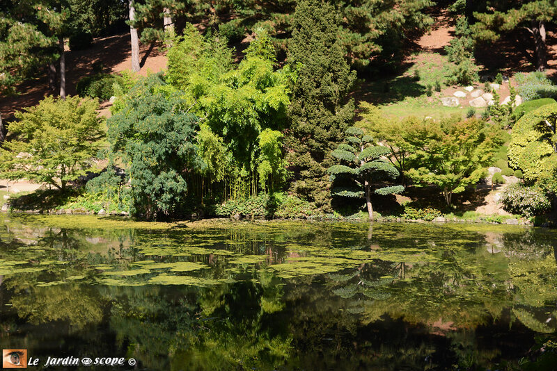 PAT_0966 Parc Oriental de Maulévrier