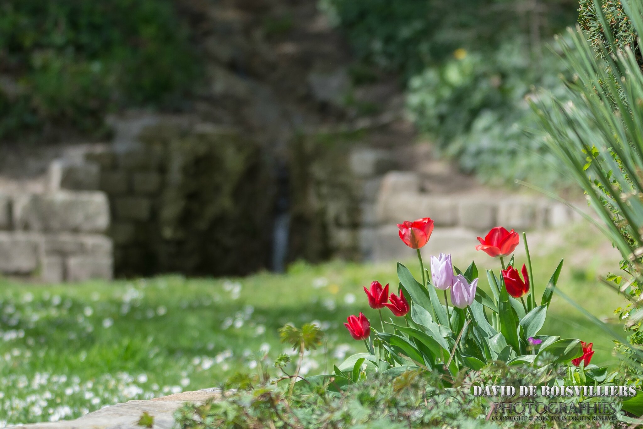 2016-04-14__DSC0363_NIKON D7100_ISO 250_170 mm_150
