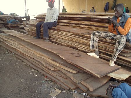 Stock de planches Chantier Naval MOPTI Mali