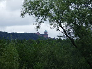 2009_0803Tannenkirch0004