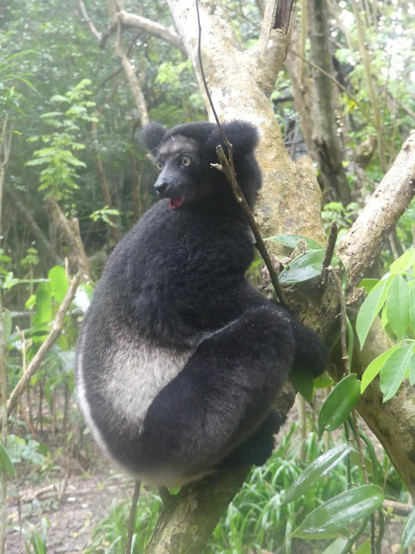 P1250080
