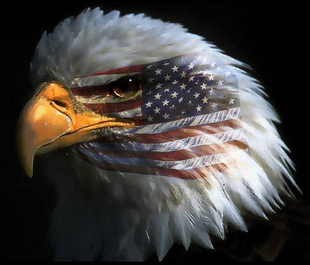 eagle_american_flag