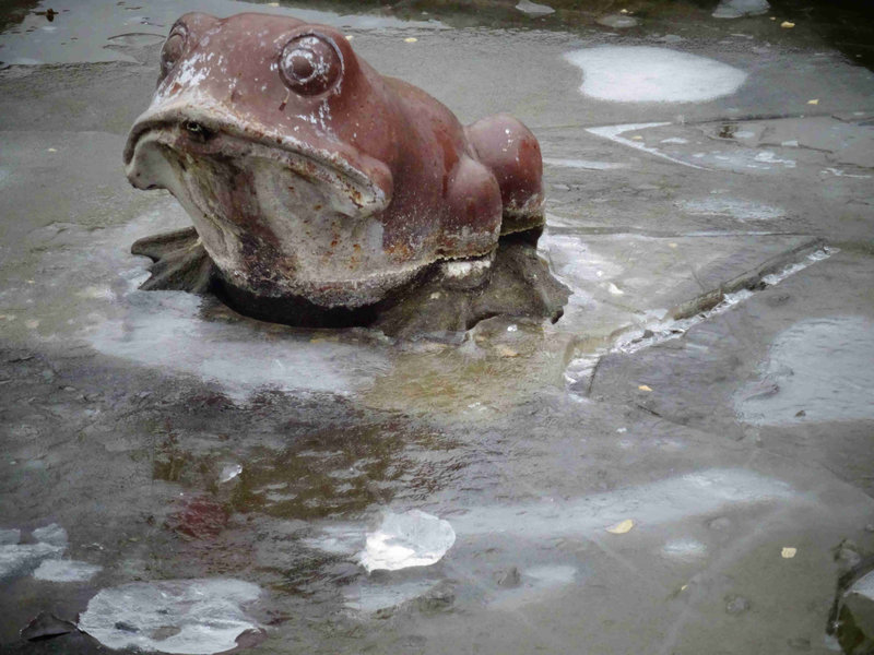 487 K° la grenouille pat temps de glace