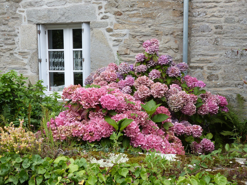 P1940166